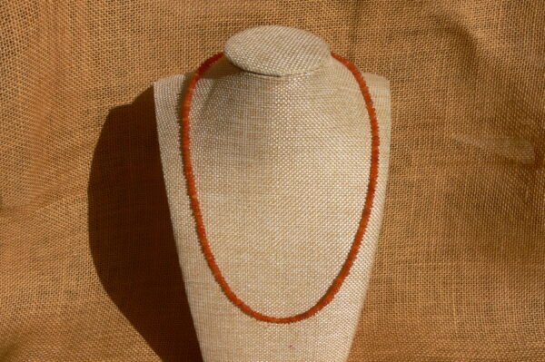 Alhar – Image 5